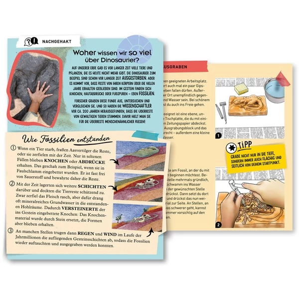 KOSMOS T-Rex 3D, Experimentierkasten – Bild 4