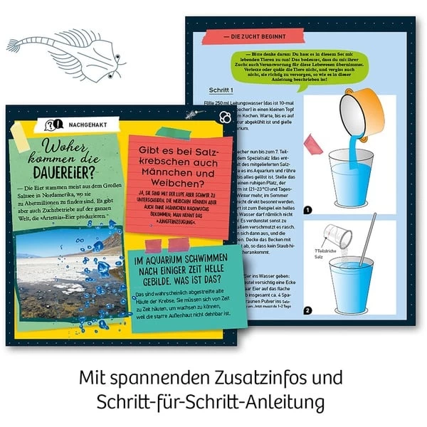 KOSMOS Urzeit-Krebse, Experimentierkasten – Bild 2