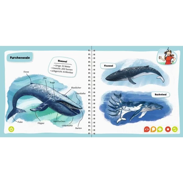 Ravensburger Tiptoi Pocket Wissen: Wale Und Delfine, Lernbuch – Bild 2